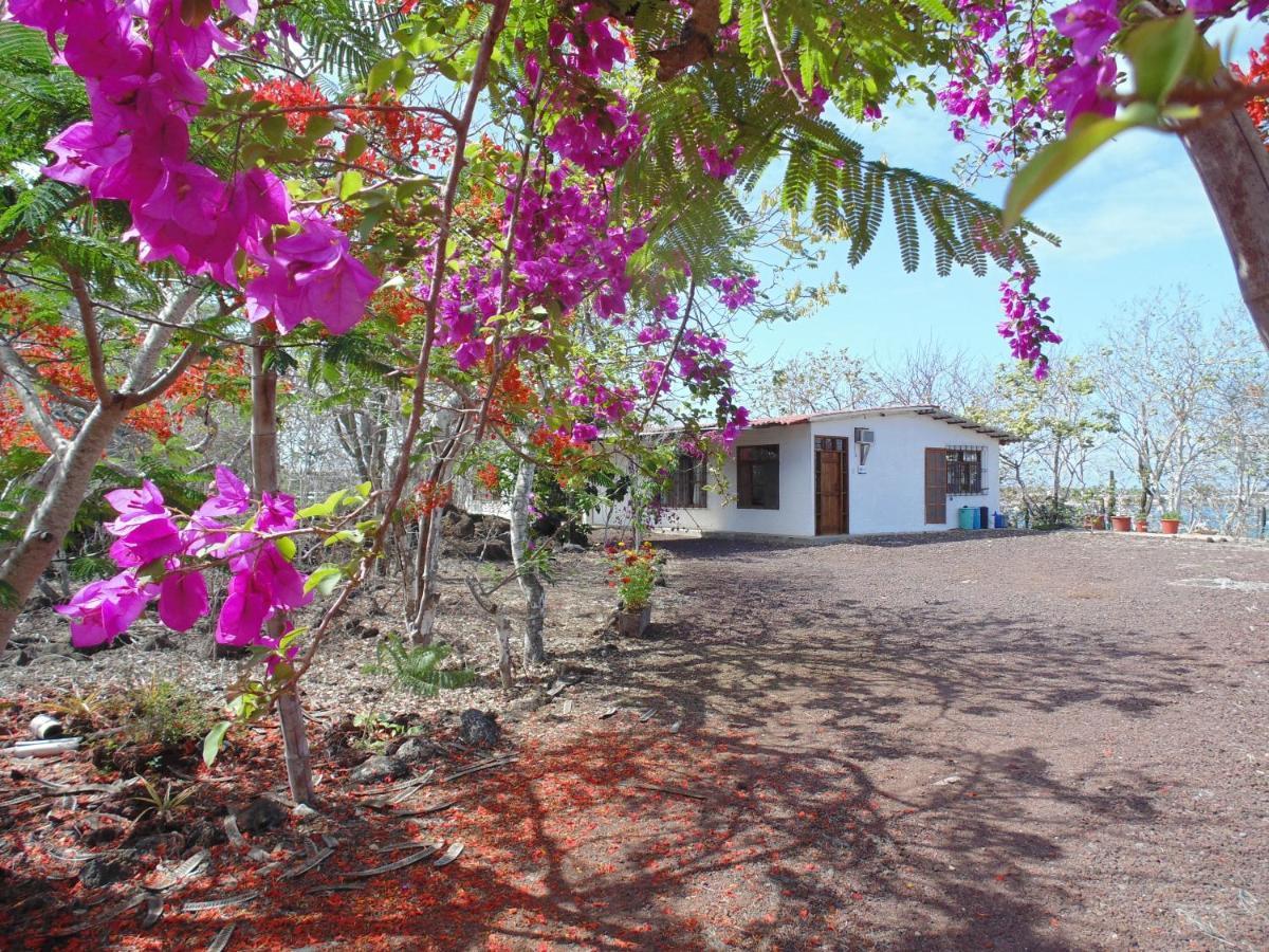 Casa Verde Vacation Garden Home San Cristóbal المظهر الخارجي الصورة