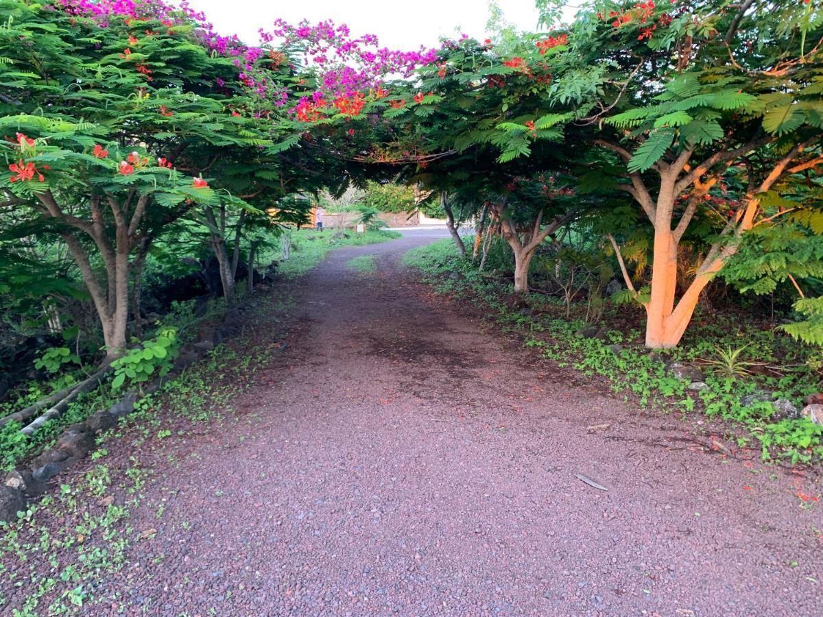 Casa Verde Vacation Garden Home San Cristóbal المظهر الخارجي الصورة